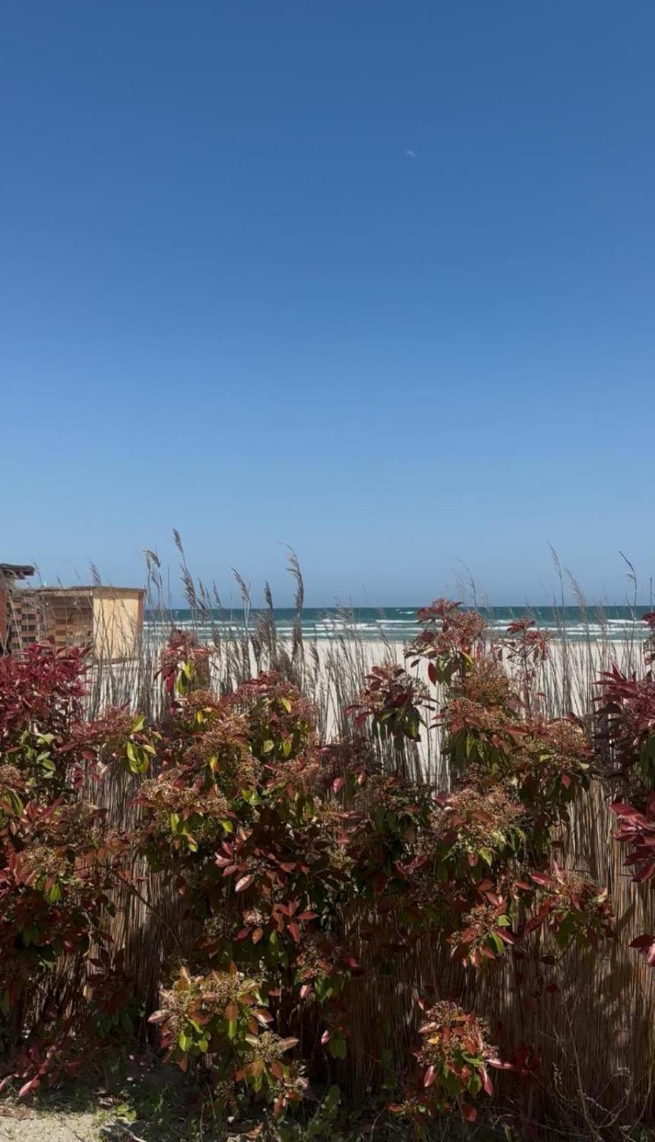 Sea View Luxury Apartament Năvodari Екстериор снимка